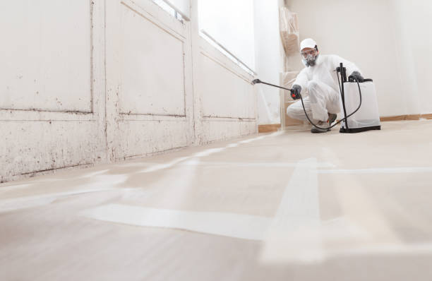 24/7 Emergency Mold Cleanup experts in Broomall, PA