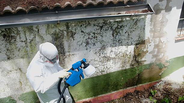 Top rated local Mold Cleanup specialists in Broomall, PA
